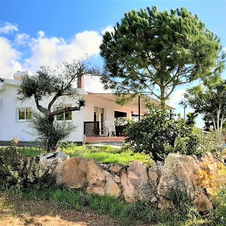 Villa Gavriel - Peyia Villa With Breathtaking Sea View, Peyia Villa With Private Pool, Secluded, Huge Outdoor Space, Mountain Views Eksteriør bilde